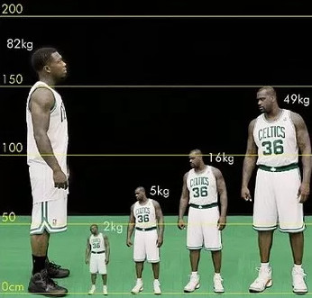 People should only be as big as ... chickens in the future