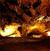 People use fire from 350,000 years ago
