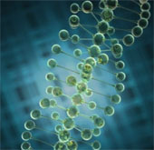 People use only 8% of DNA