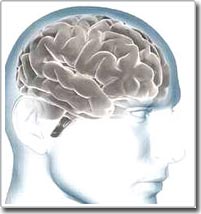 People who live do not need ... brains