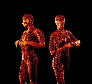 People with balanced bodies are more attractive in the eyes of the opposite sex