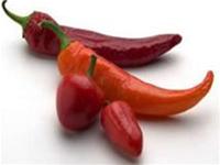 Peppers can cure prostate cancer