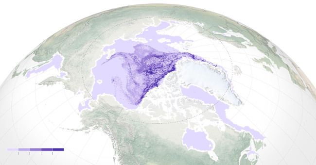 Perennial ice in the Arctic is disappearing
