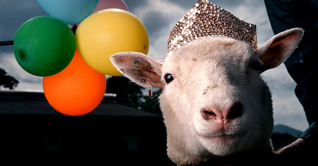 Persistent controversy after 20 years of cloning application