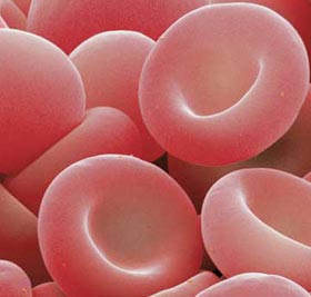 Personality through blood type