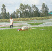 Pesticide spraying robot