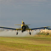 Pesticides affect 3 generations