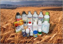 Pesticides increase the risk of Parkinson's disease