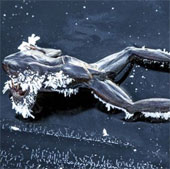 Petrified on the way to find love