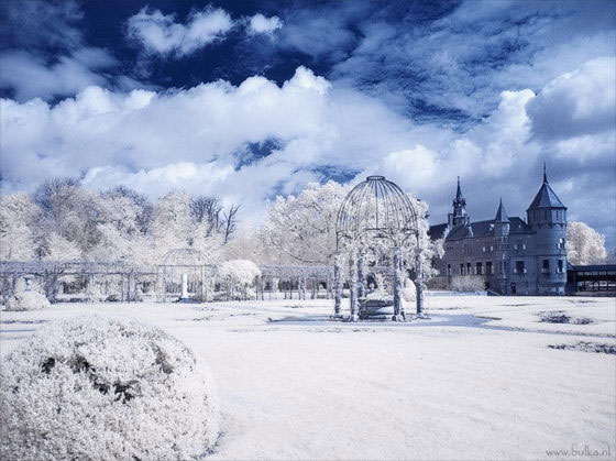 Photo of beautiful winter painting