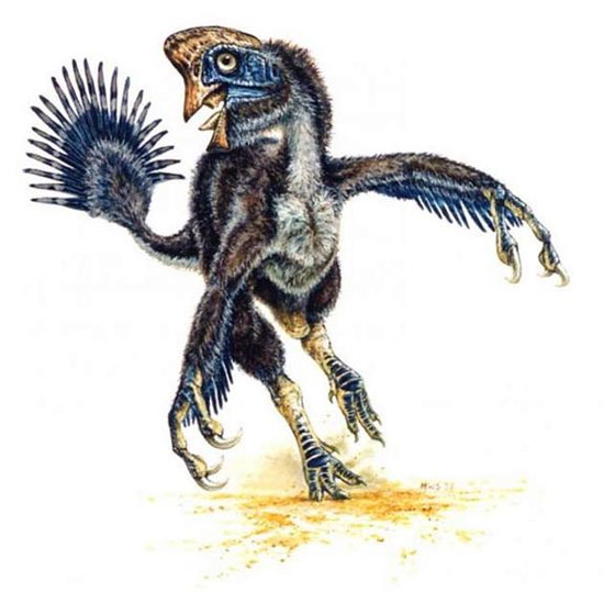Photo reconstruction of extinct animals