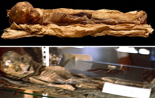 Photos of aliens are just the baby's body