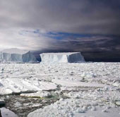 Photos of melting ice are surprisingly beautiful but startling