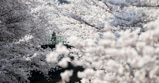 Photos that make you love the earth