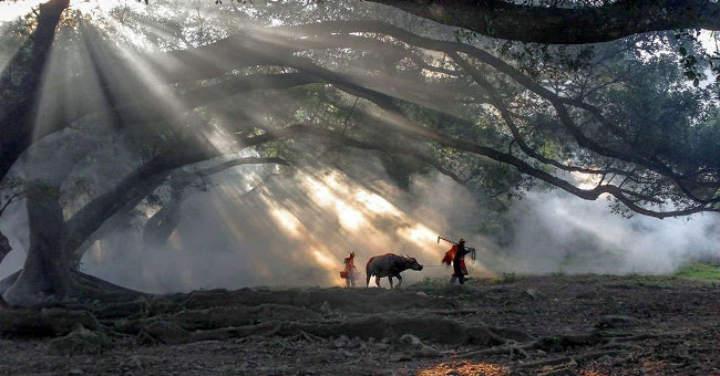 Photos won the International iPhone Photo Contest 2016
