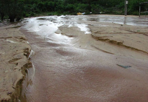 Phu Yen: Unmatched sand flood