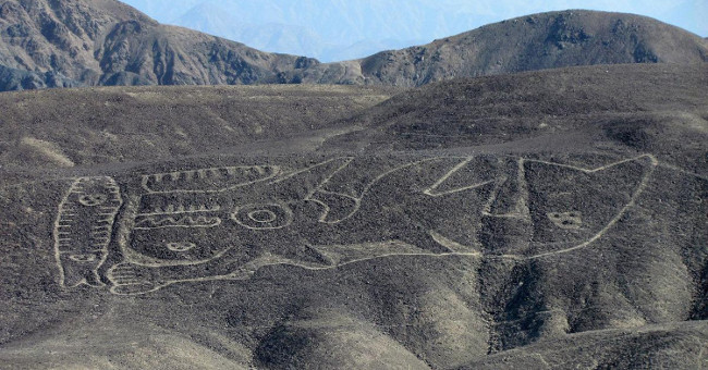 Picture of a 70-meter killer whale in the Peruvian desert