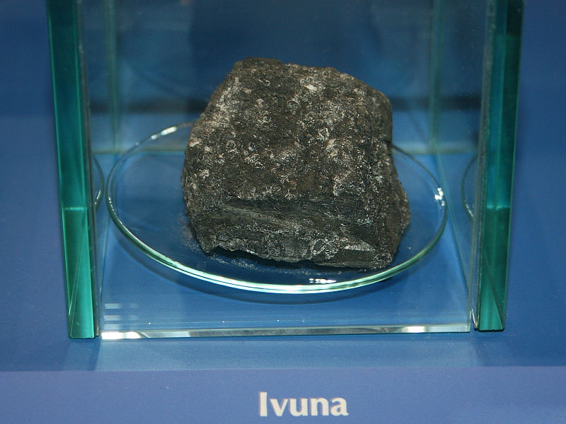 Piece of comet helps discover Earth origin