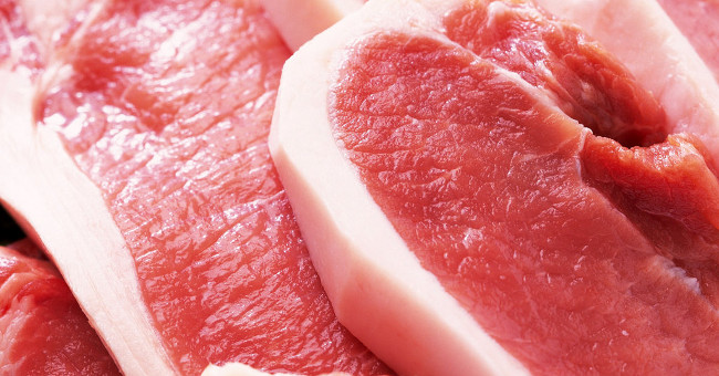 Pig sedative injections: What is harmful?