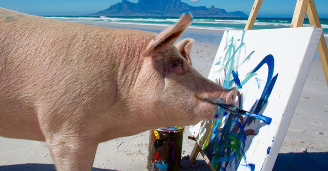 Pigs are rescued from thousands of dollars