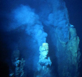 'Pin' lives in the deep sea