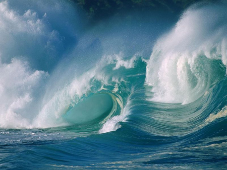 Plankton contribute to super typhoons