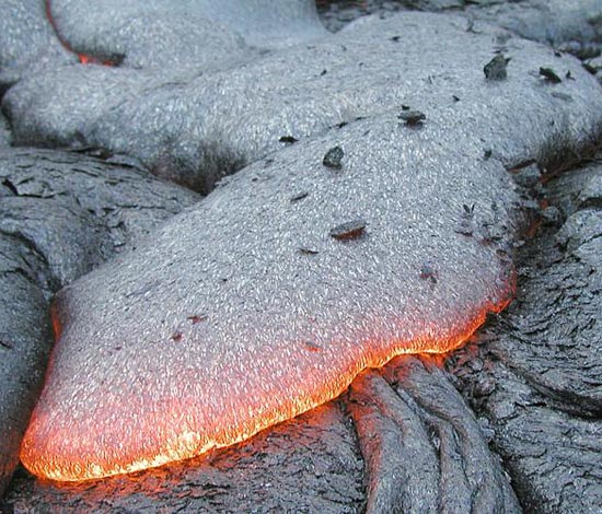 Plankton thrives on volcanoes
