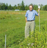 Plant a variety of grasses for biofuel production