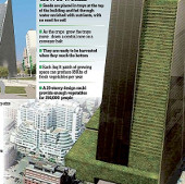 Plant building - a new era of urban agriculture