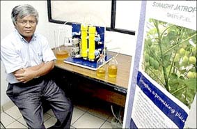 Plant fuel - Indonesia's energy future