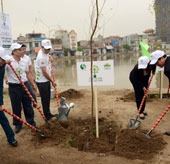 Planting 3,500 trees to protect the environment in Hai Phong