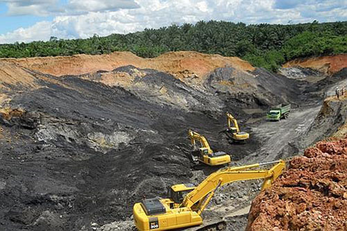 Planting forests on coal mines