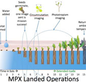 Planting trees on Mars