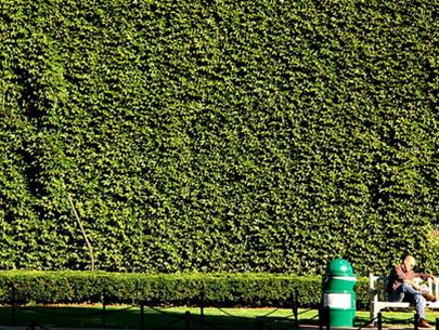 Planting trees to replace air conditioners