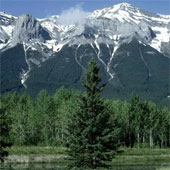 Plants on mountains avoid impacts of global warming