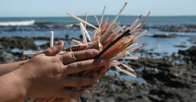 Plastic pipes will soon be extinct in the world?