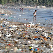 Plastic waste - The potential danger to the ocean