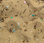 Plastics are toxic to marine ecosystems