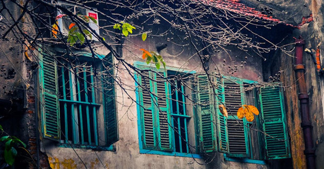 Please admire the poetic beauty of Hanoi winter