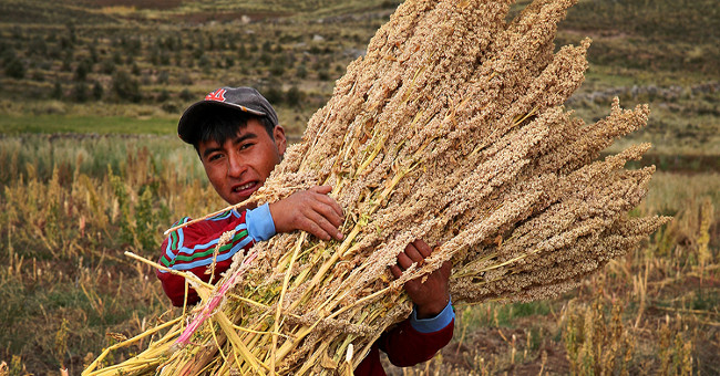 Pluto will be the solution to global food security
