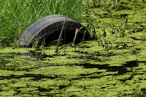 Polluted water threatens Liuzhou City, China