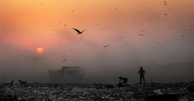 Pollution causes 9 million deaths each year