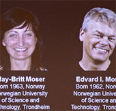Positioning system in the brain of Nobel Prize winner of 2014 Medicine