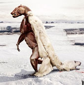 Posters make us 'startled' about the fate of the Earth