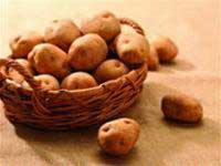 Potato starch enhances the quality of paper