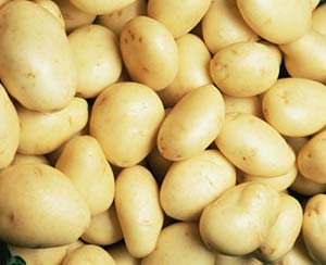 Potatoes can be the main raw material for plastic bags