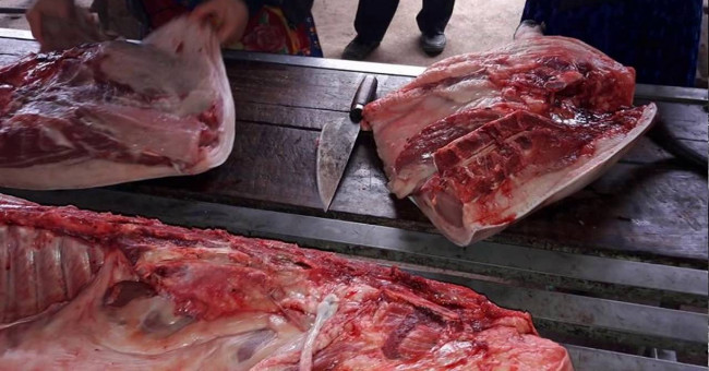 Potential antibiotic resistant bacteria in food