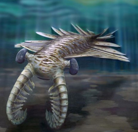 Predators have insect eyes