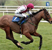 Predict the horse race by mathematical model