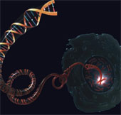 Predict the life expectancy of people with heart disease through DNA length